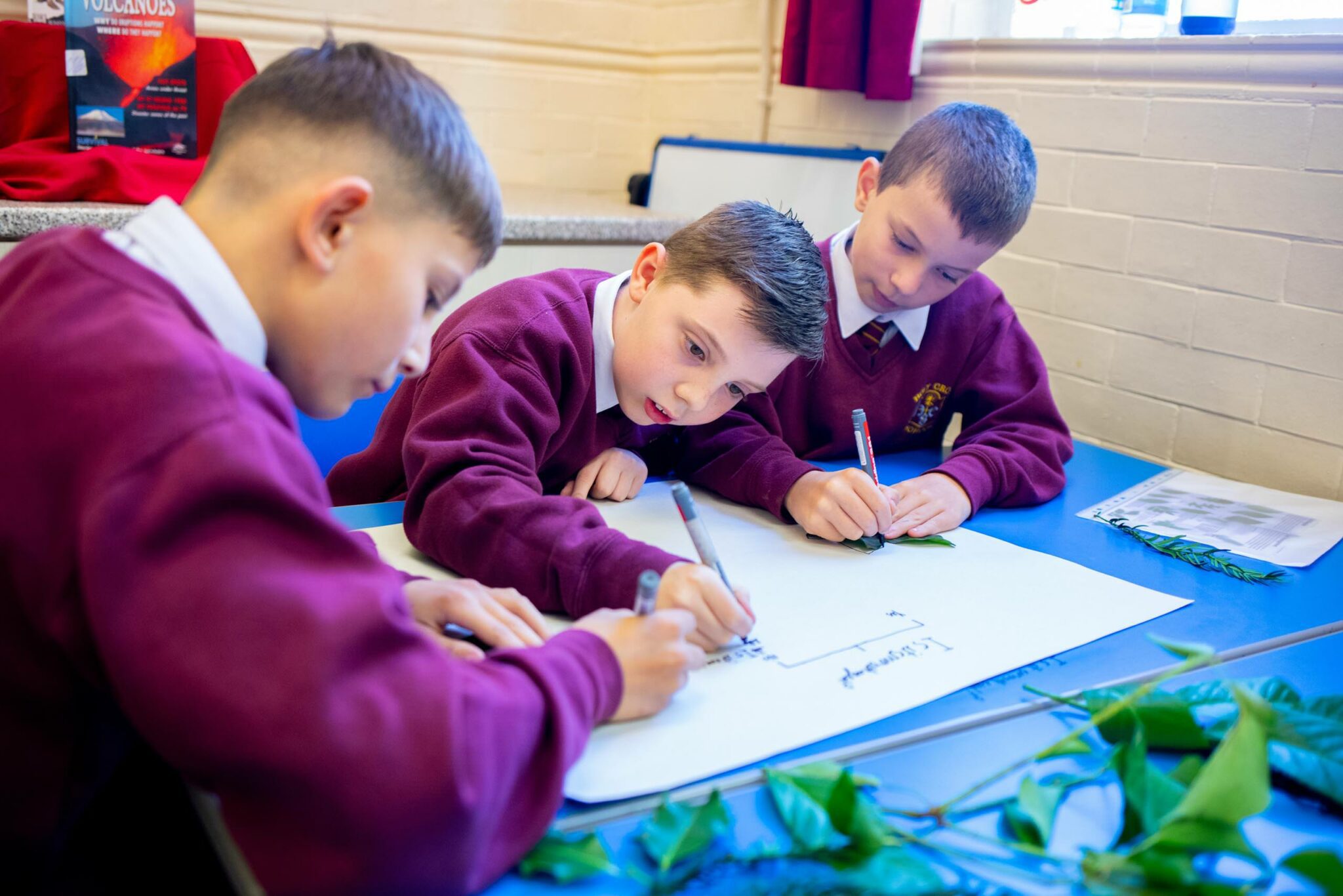 Curriculum Holy Cross School Whitwick